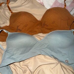 Danskin Intimates Bra Set - Brown an Blue/Gray 34C